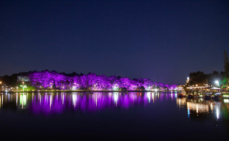 Xuan Huong Lake after dark