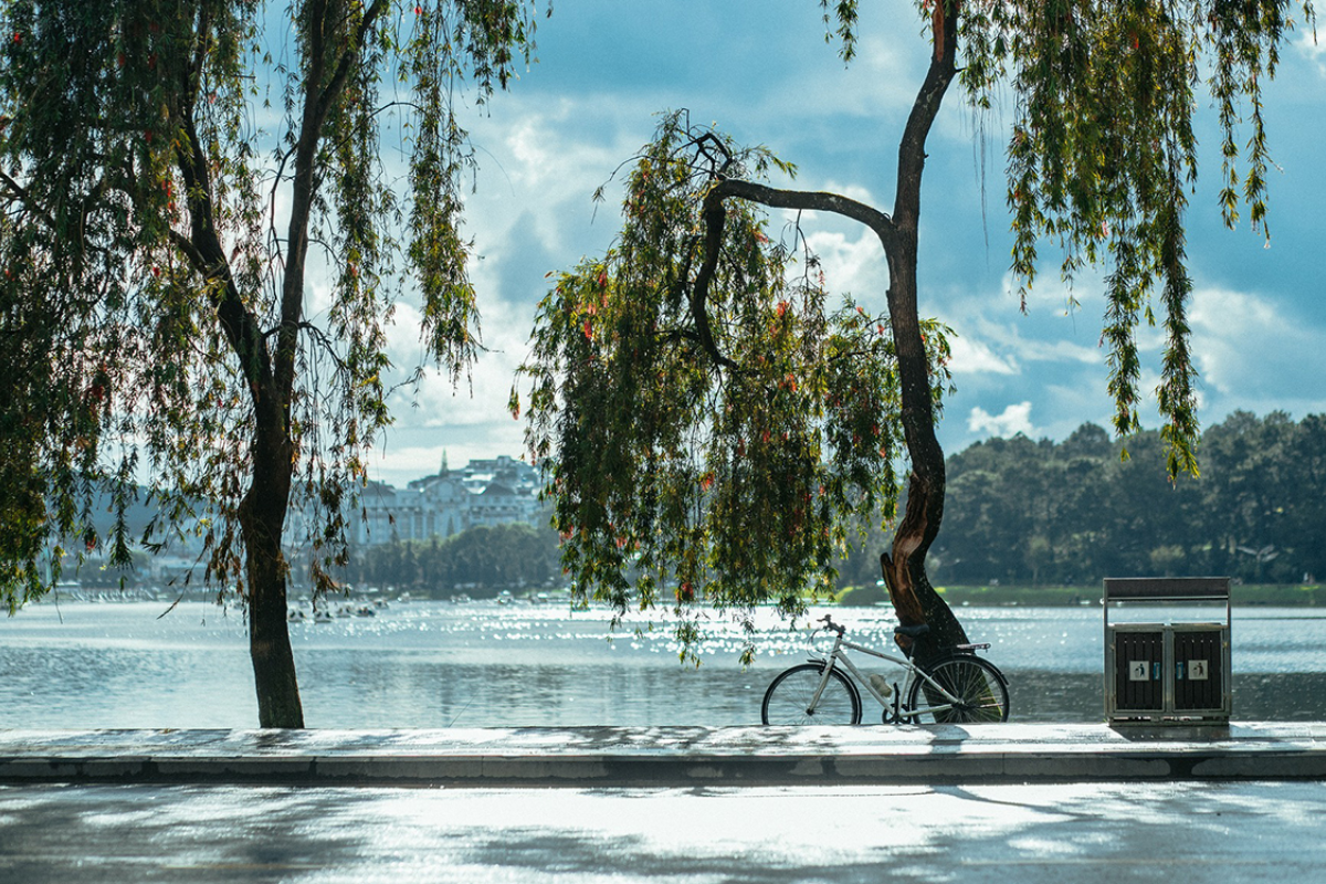 Trees and a promenade beside Xuan Huong Lake.