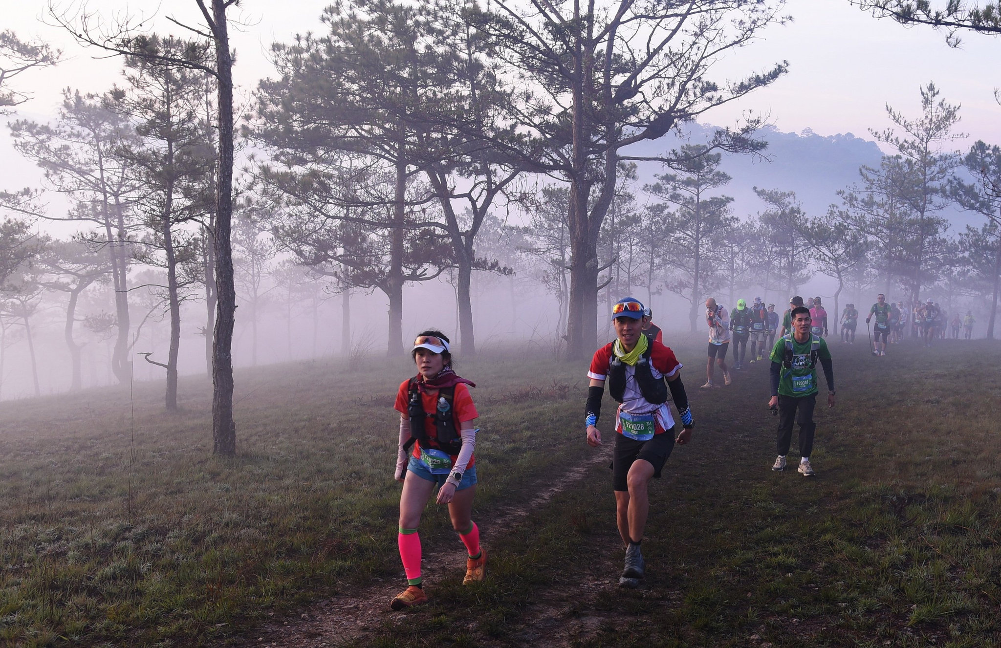 Historical Dalat Ultra Trail photograph: runners in misty pine woodland; edition year not stated.